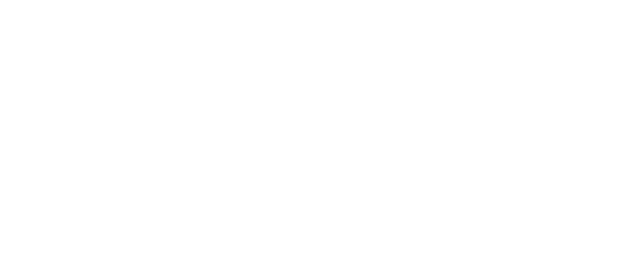 Window Boss